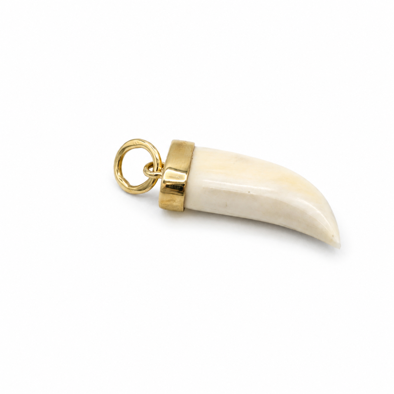 Pendentif Dent Ivoire - Or jaune